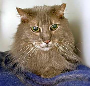 Photo of Itsy
