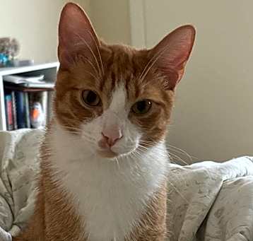 Photo of Rizzy