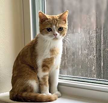 Photo of Luna