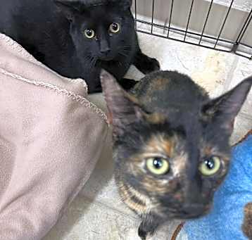 Photo of Wally & Tally