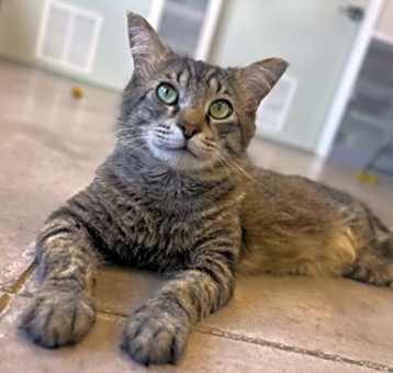 Photo of Momo