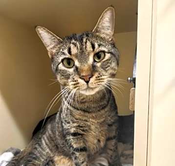 Photo of Tacoma~23/24-0318f