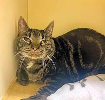Photo of Lenny~24/25-0081b