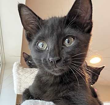 Photo of Sam