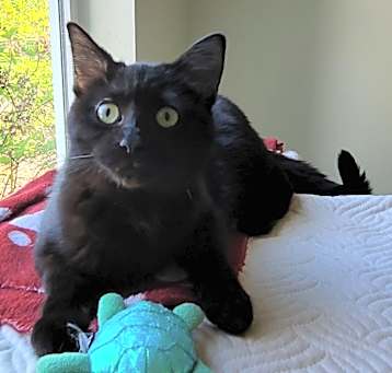 Photo of Inky