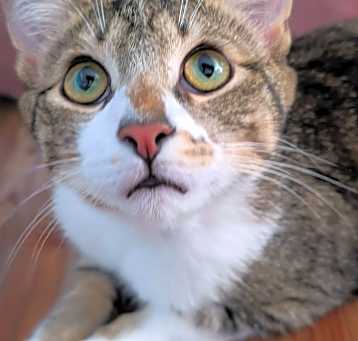 Photo of Hayson