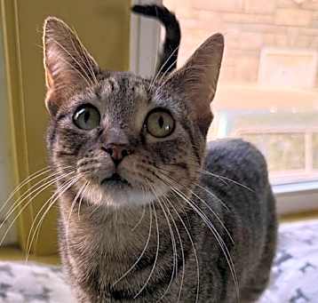 Photo of Birdie