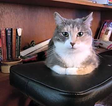 Photo of Amie