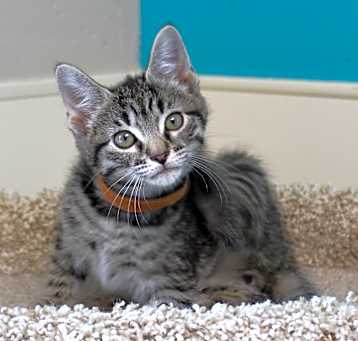 Photo of Spud
