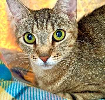 Photo of Sukie