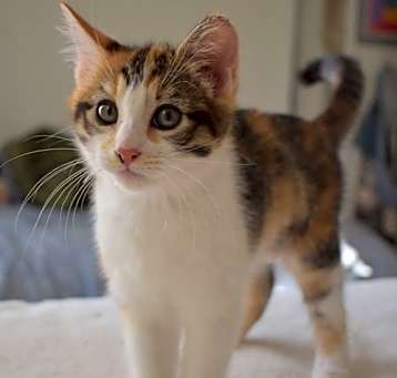 Photo of Tam