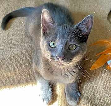 Photo of Hunter