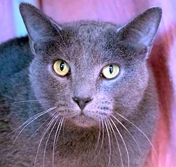 Photo of Pablo