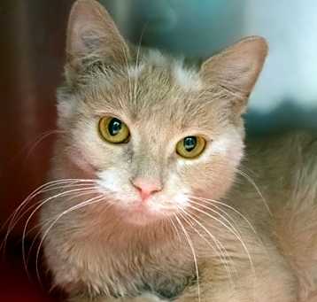 Photo of Bobbi