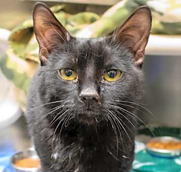 Photo of Moony
