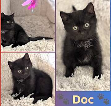 Photo of Doc