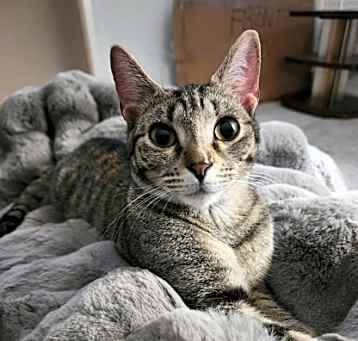 Photo of Coco