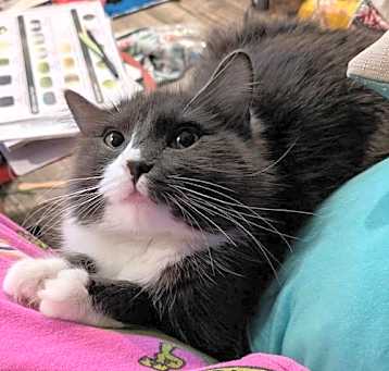 Photo of Rhoda