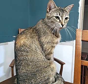 Photo of Bonnie