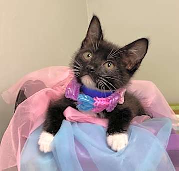 Photo of Gia