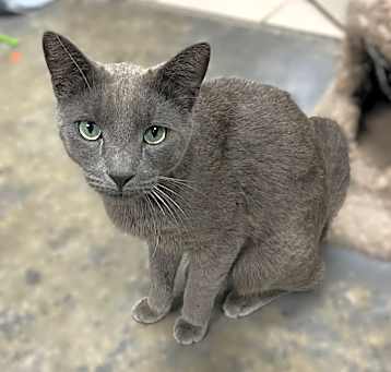 Photo of Captain