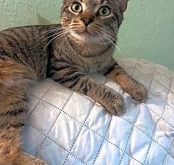Photo of Tobias