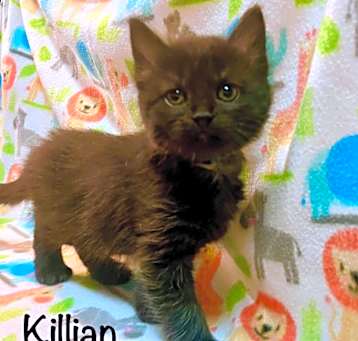 Photo of Killian