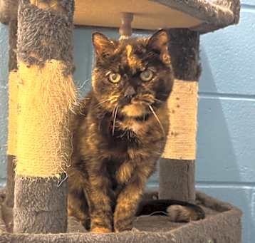 Photo of Cleo