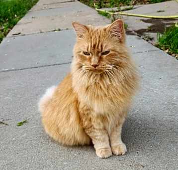 Photo of Mable