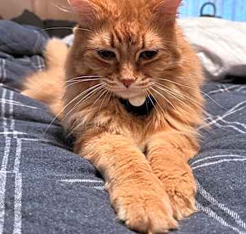 Photo of Booker