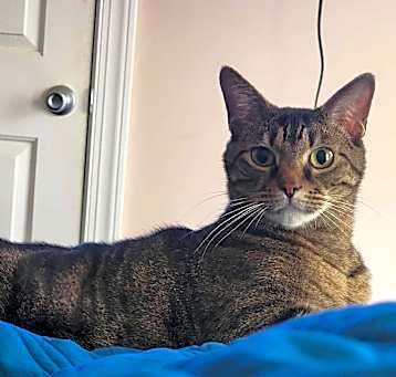 Photo of Mack