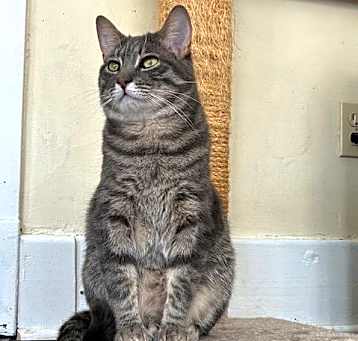 Photo of Edgar