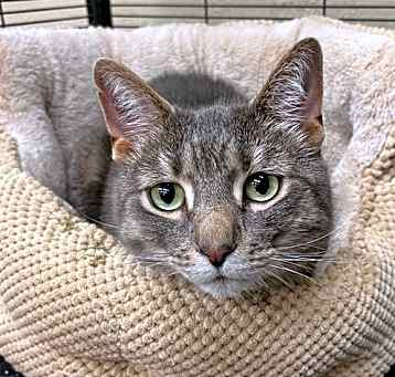 Photo of Snickers