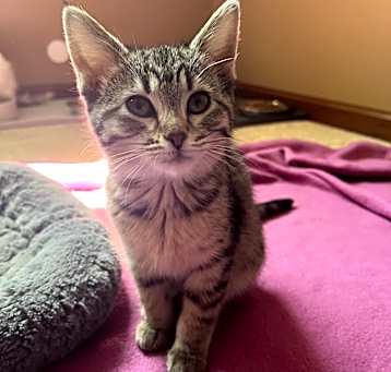 Photo of Dorothy