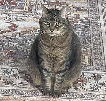 Photo of Vincent