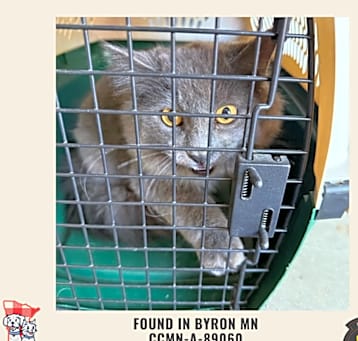 Photo of Found Byron MN