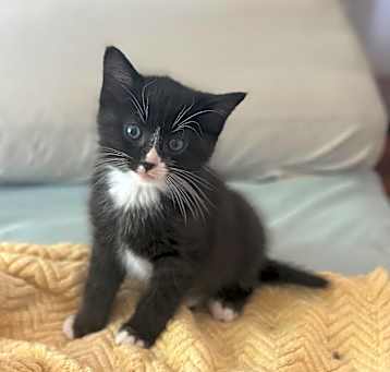 Photo of Bobbins