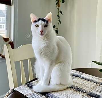 Photo of Wednesday
