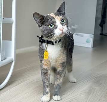 Photo of LOLA