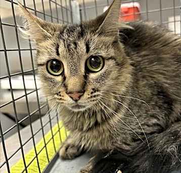 Photo of STORMY