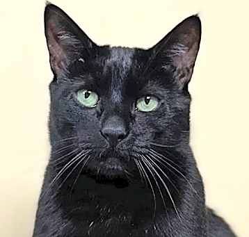 Photo of Arya