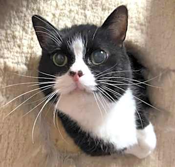 Photo of Lil Kit