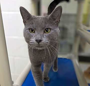 Photo of Skeeter