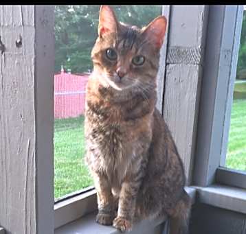 Photo of Sammie
