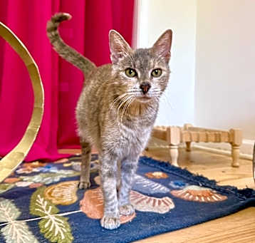 Photo of Little Jeanie
