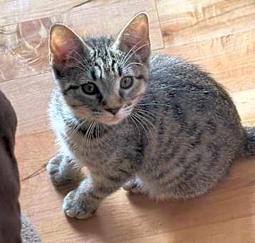 Photo of Lennox