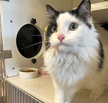 Photo of Baby Cloud