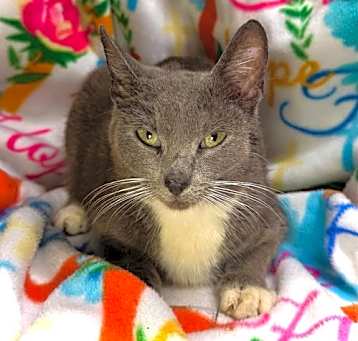 Photo of Winnie