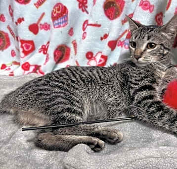Photo of Button