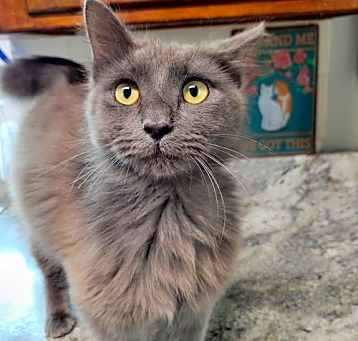Photo of Frederico